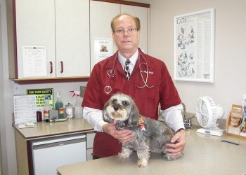 My Vet's the Best finalist Dr. Mel Falk at Hidden Valley Animal Hospital in Independence, Missouri.